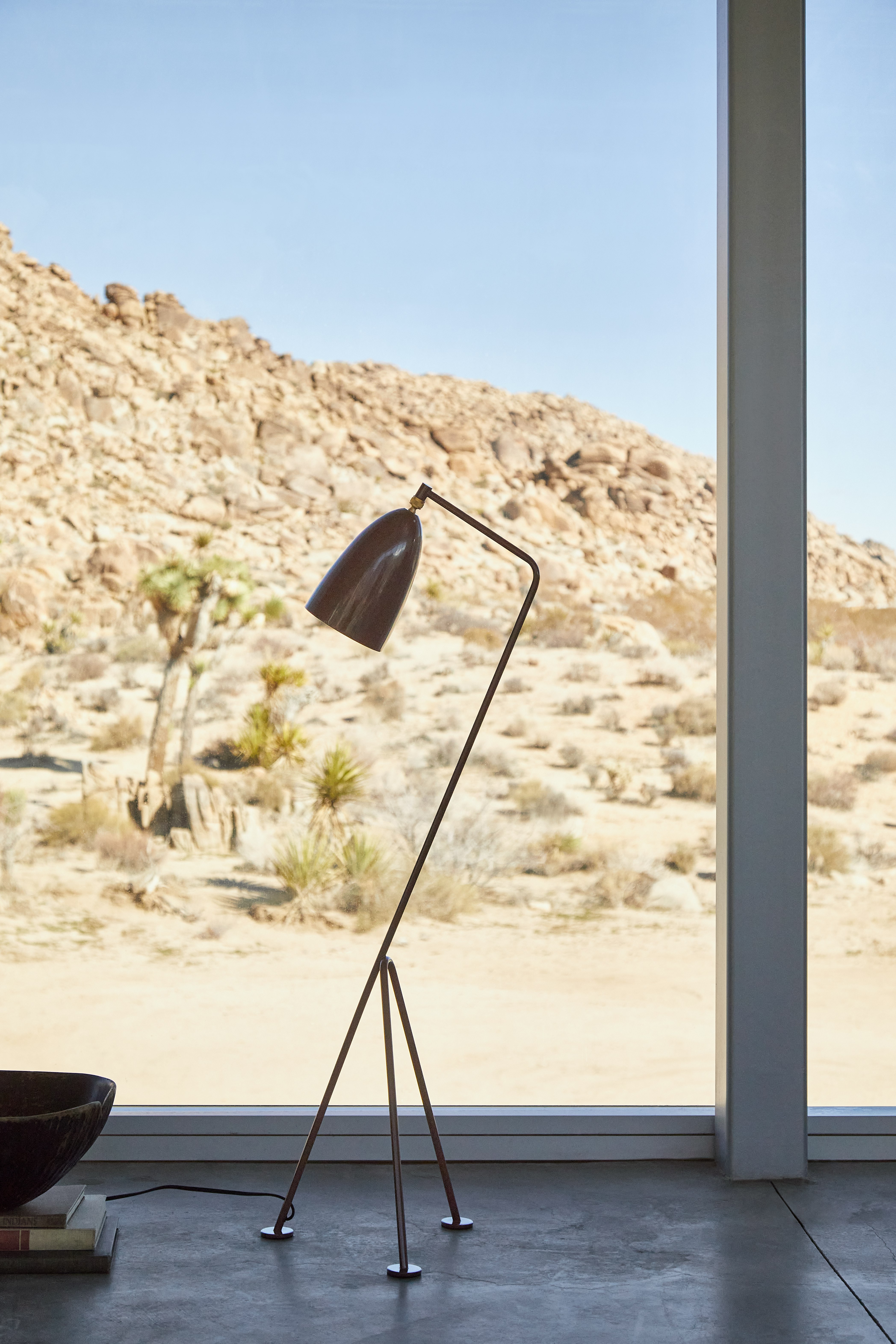 Grasshopper Floor Lamp