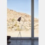 Grasshopper Floor Lamp