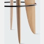 Thirteenth Stool