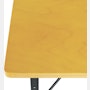 Eames Desk Unit