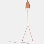 Grasshopper Floor Lamp