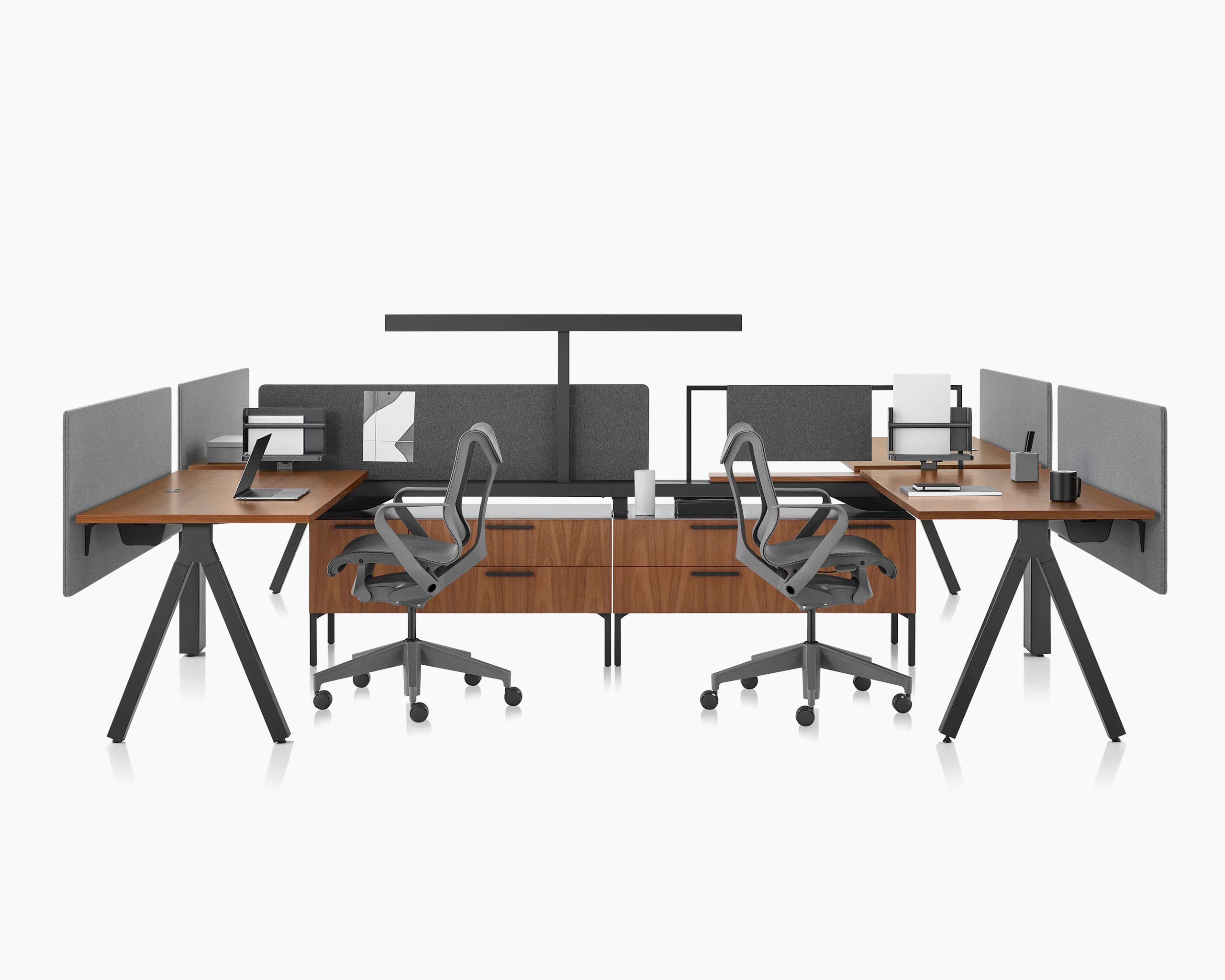 Brown and black Canvas Vista workstations with dark gray fabric screens, black t-shaped light and light gray Cosm chairs.