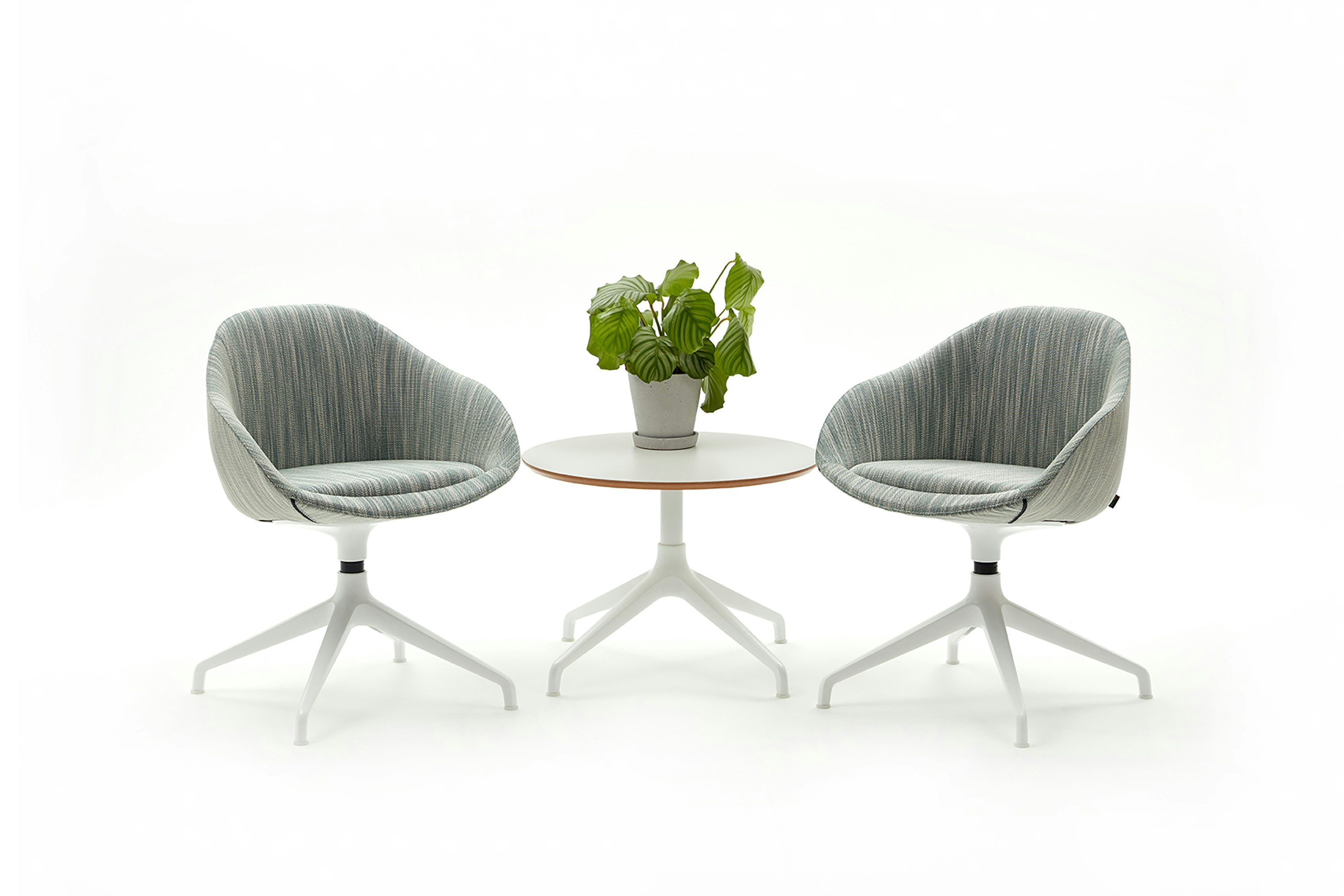 Ali Coffee Table with white 4 star base and white mfmdf circular table top, with two upholstered Always Chairs.