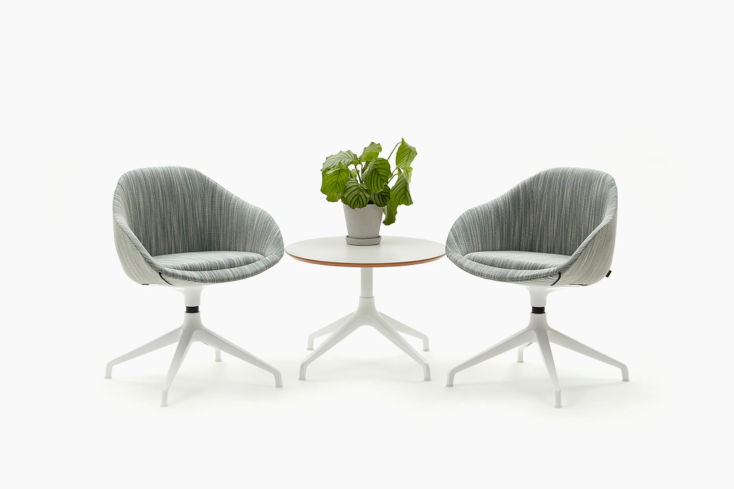 Ali Coffee Table with white 4 star base and white mfmdf circular table top, with two upholstered Always Chairs.