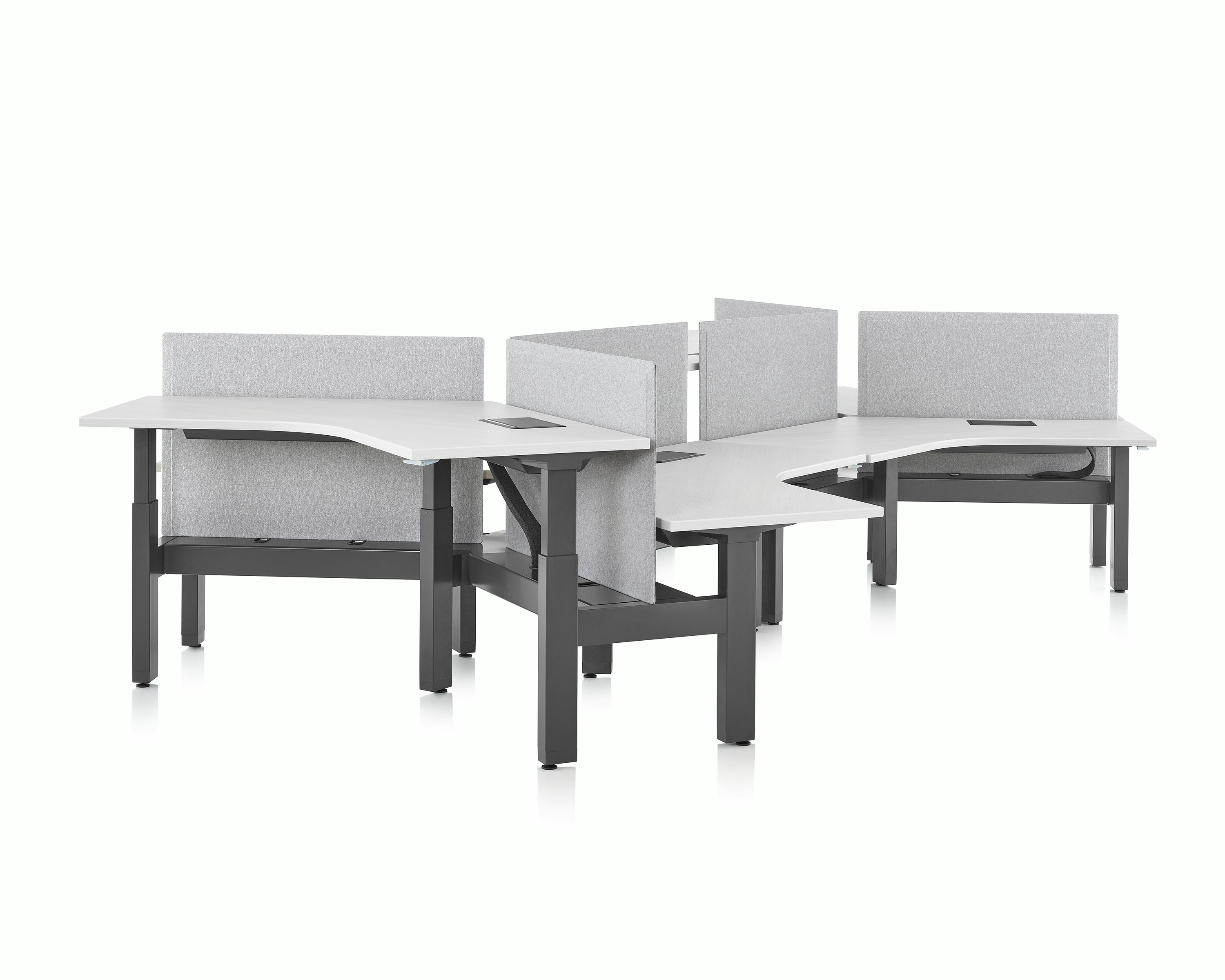 Standing desk system, Renew Link, with white 120-degree work surfaces, black base, and screens. Two of the six desks are raised at a standing height.