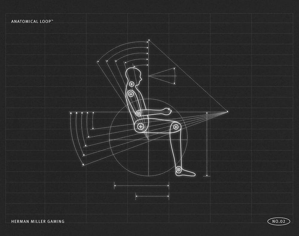 Anatomical Loop Illustration