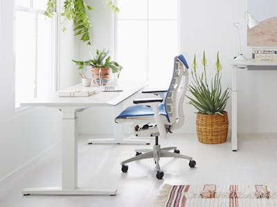 Renew Sit to stand Desk