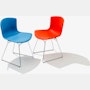 Bertoia Molded Shell Side Chair