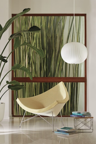Nelson Coconut Chair