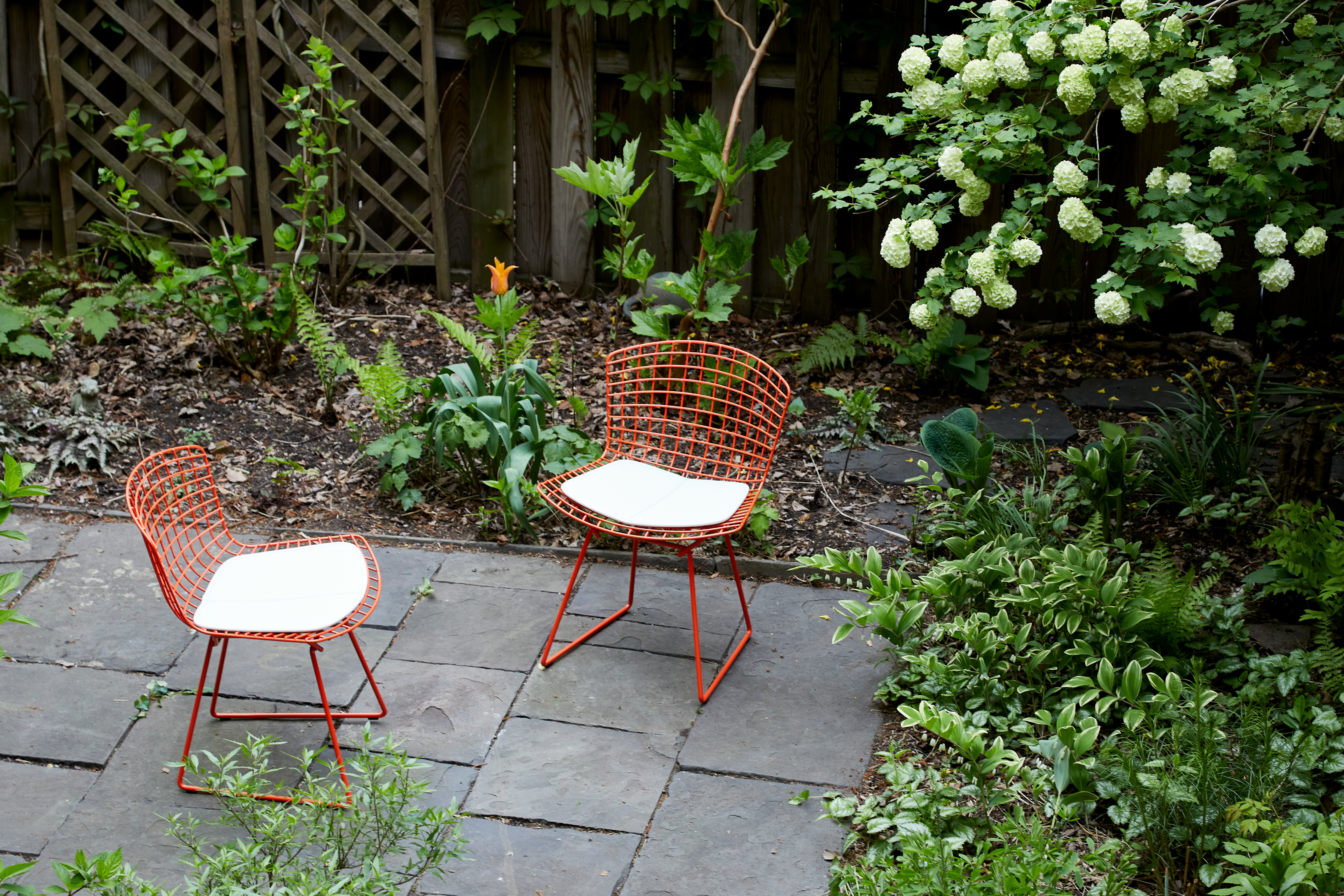 Bertoia Indoor-Outdoor Side Chairs with seat pads in an outdoor patio setting