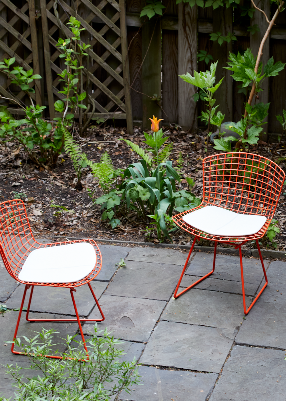Bertoia Indoor-Outdoor Side Chairs with seat pads in an outdoor patio setting