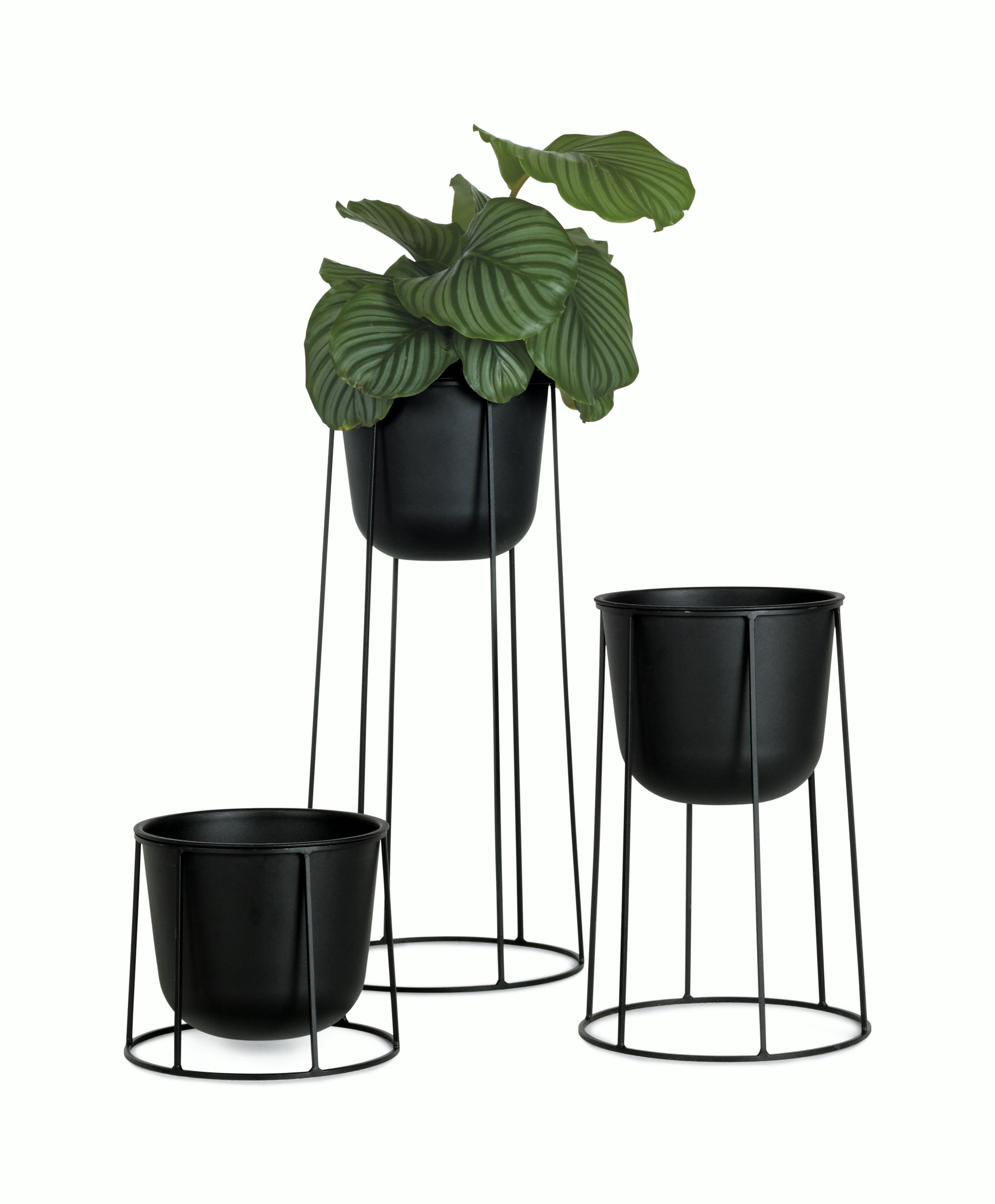 Planters + Pots