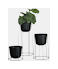 Planters + Pots