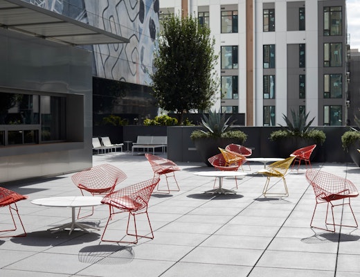 Outdoor Bertoia Diamond Chair and Schultz Petal Coffee Table Bertoia Diamond Chair Richard Schultz Petal Coffee Table 1966 collection 1966 lounge chair outdoor community shared spaces