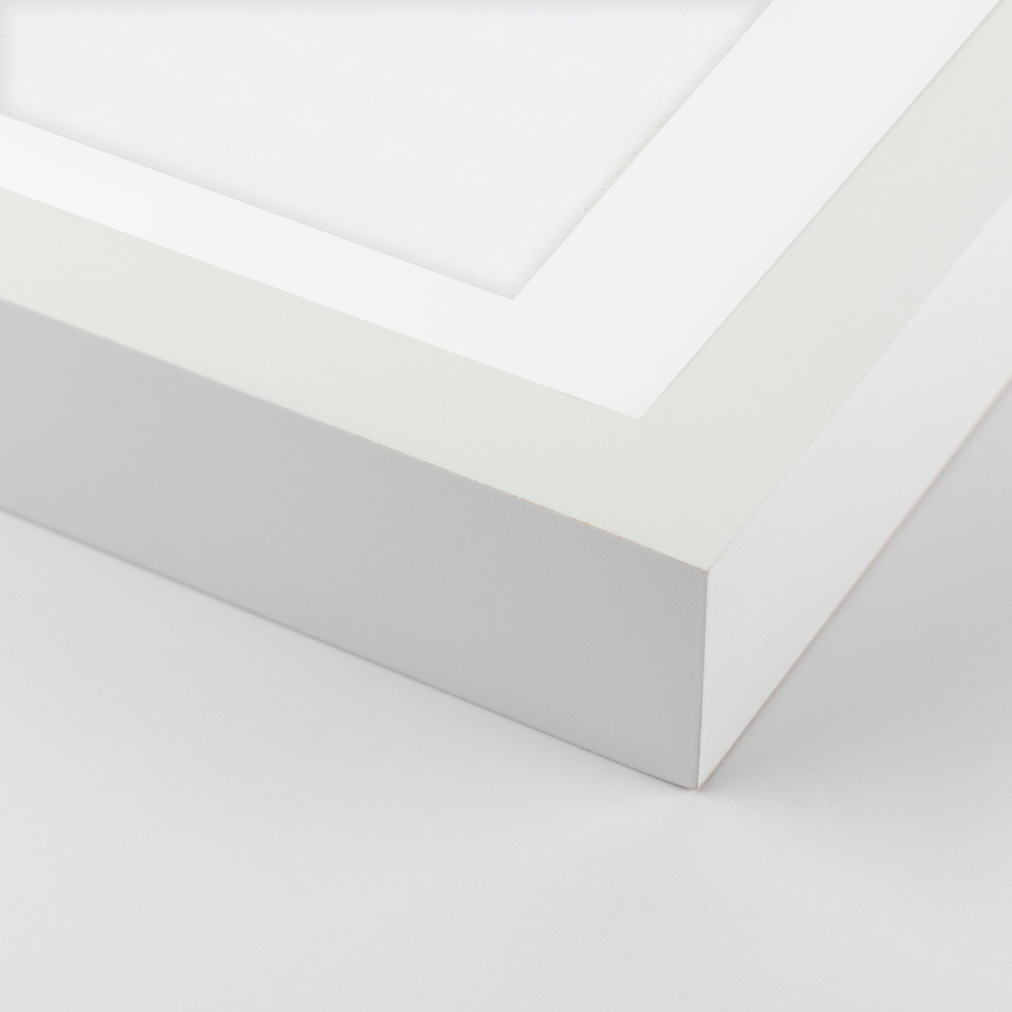 Female Forms by Paola Rodriguez Arias