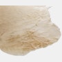Cowhide Rug