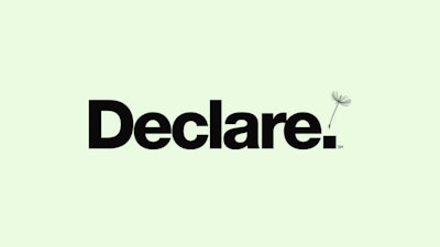 The Declare logo on a mint colored background.