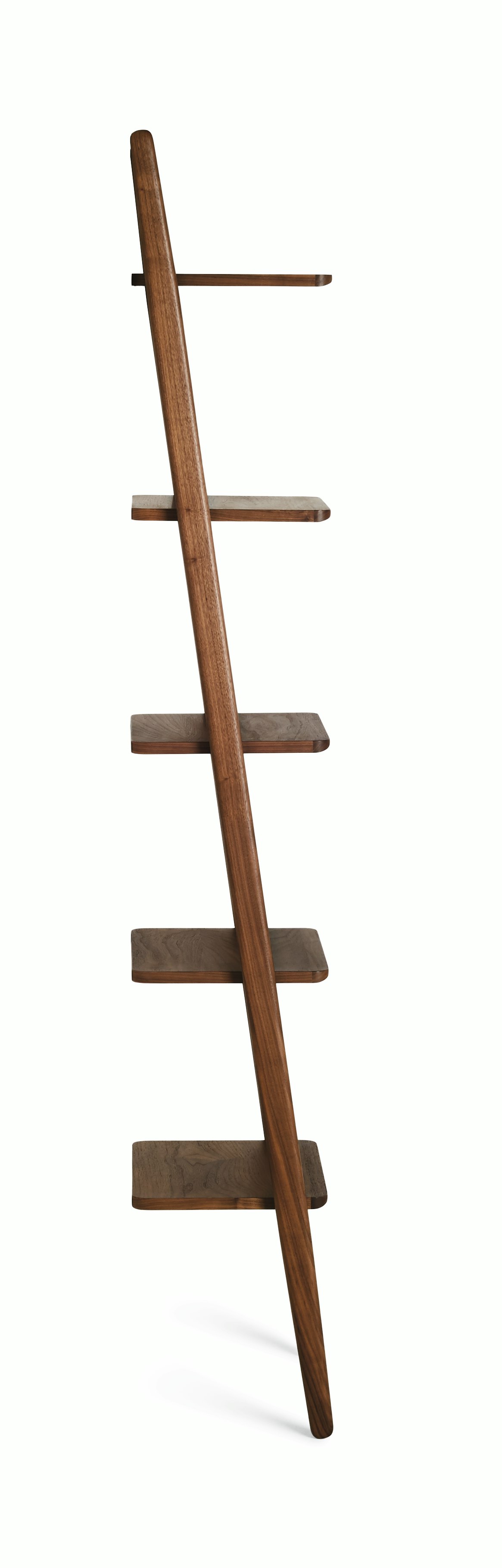 Folk Ladder Shelving