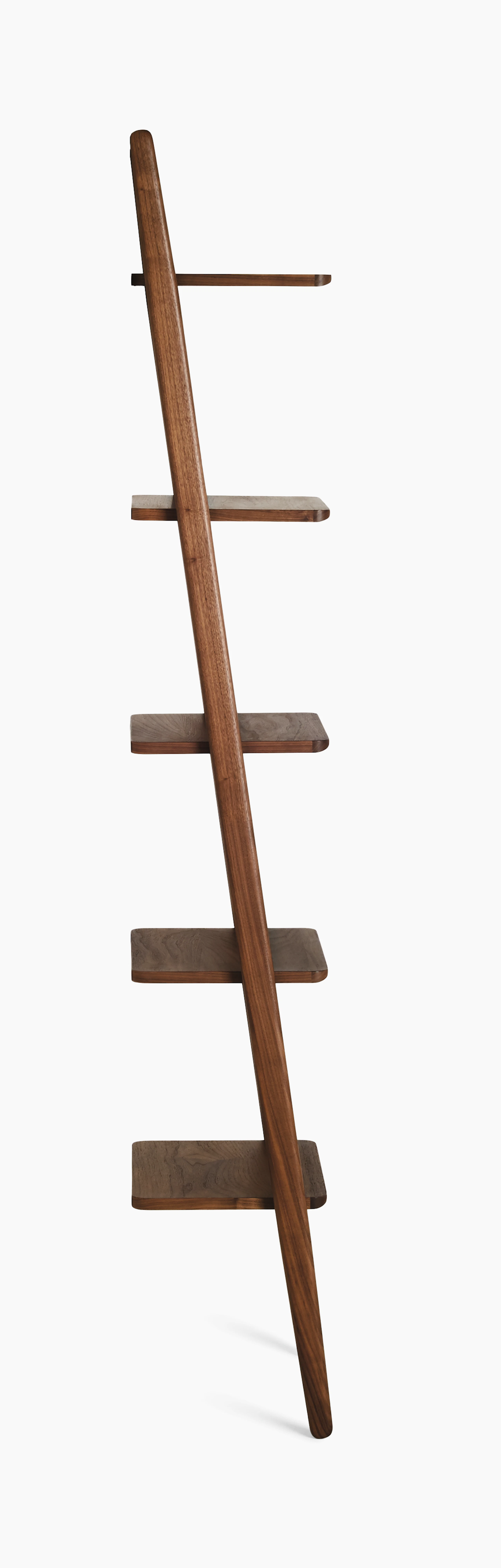 Folk Ladder Shelving