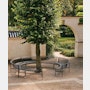 Palissade Park Dining Benches, Set of 2