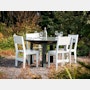 T81 Dining Chair