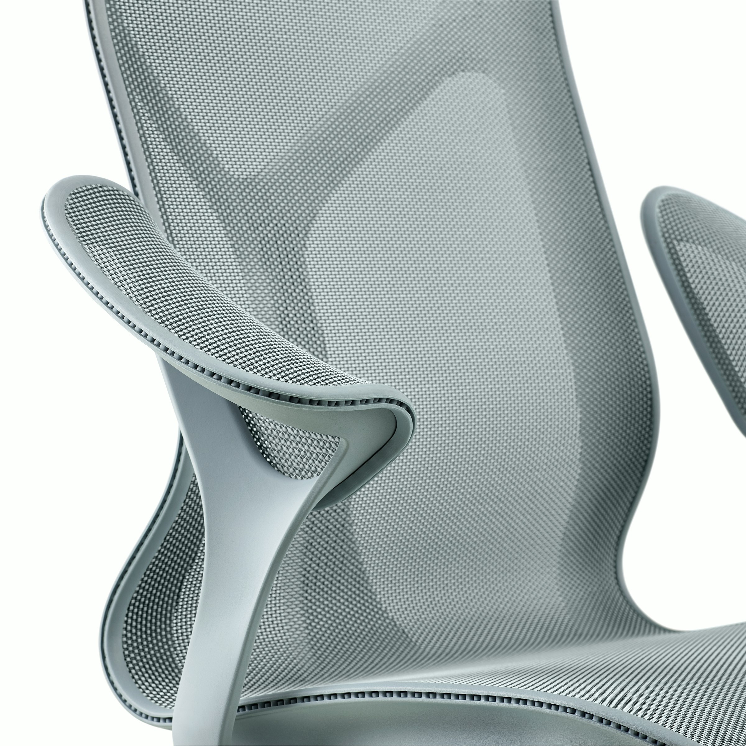 Closeup of Cosm Leaf Arms and Suspension