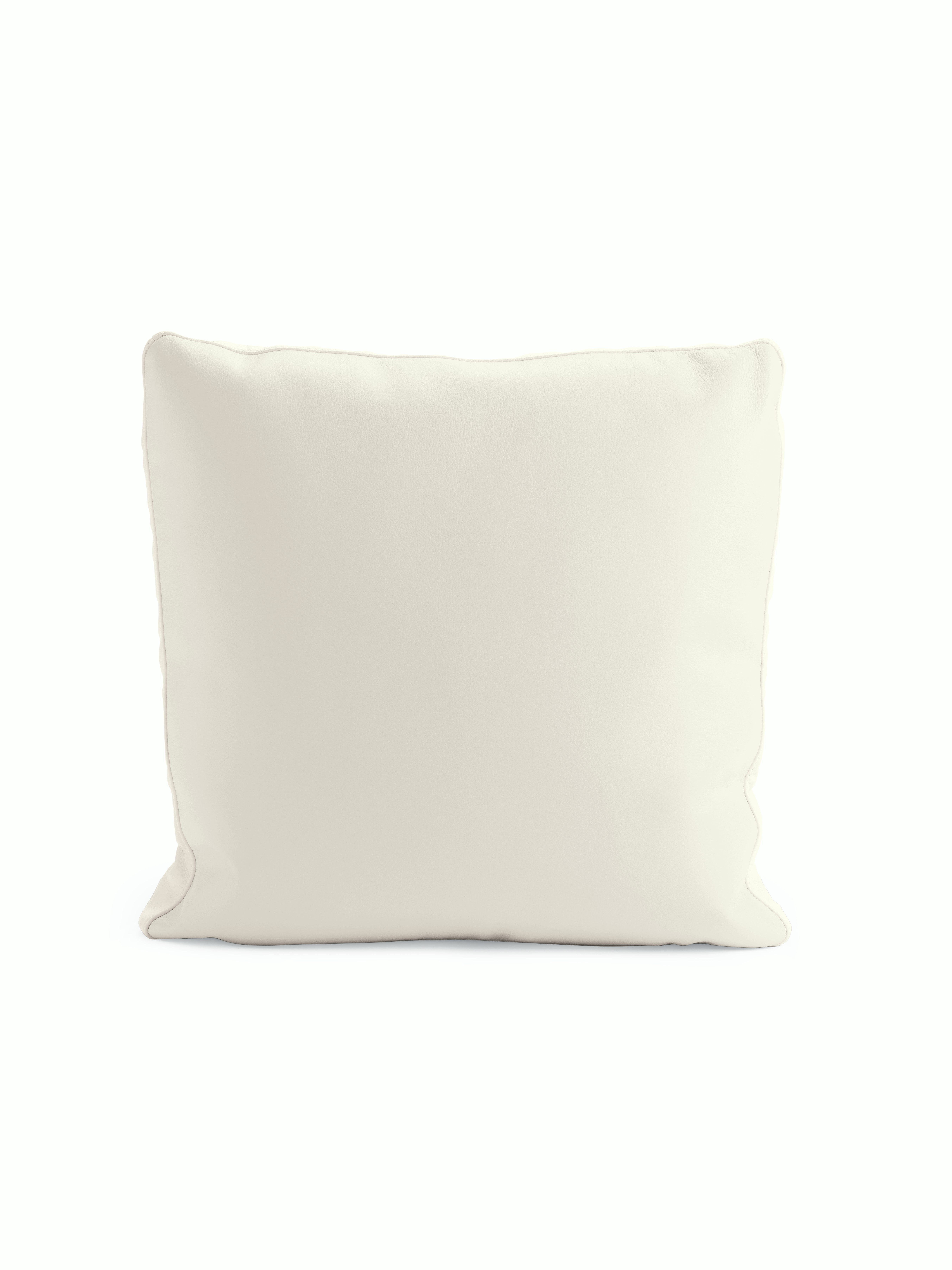 Reid Throw Pillow