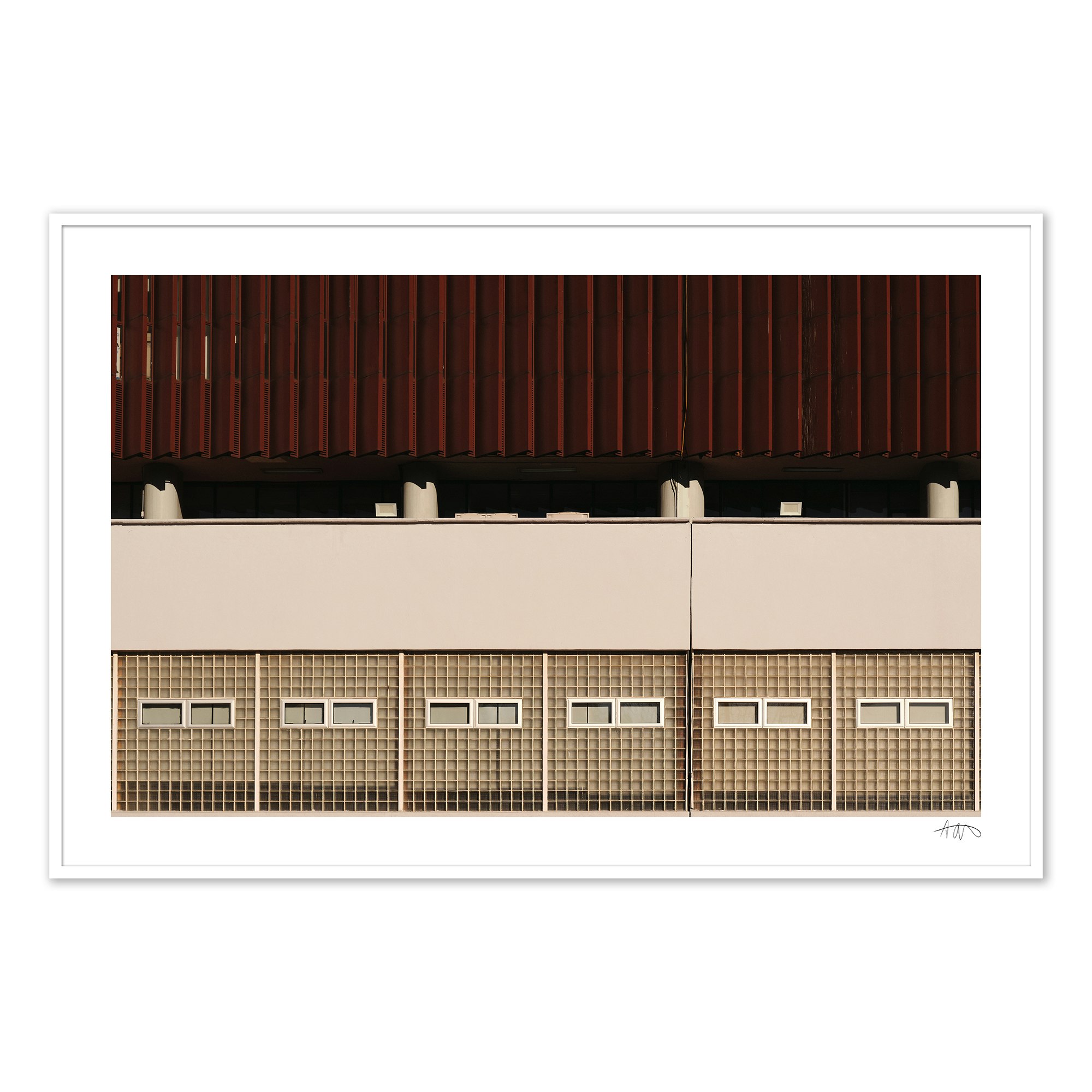 Untitled (UNAM I), Mexico City, 2024