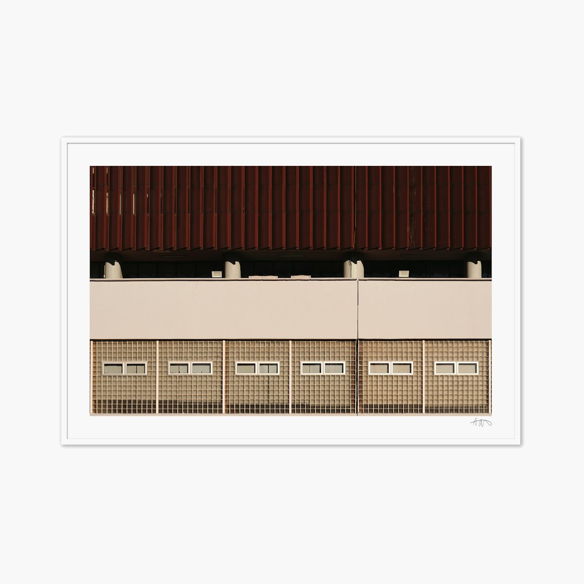 Untitled (UNAM I), Mexico City, 2024 Untitled (UNAM I), Mexico City, 2024
