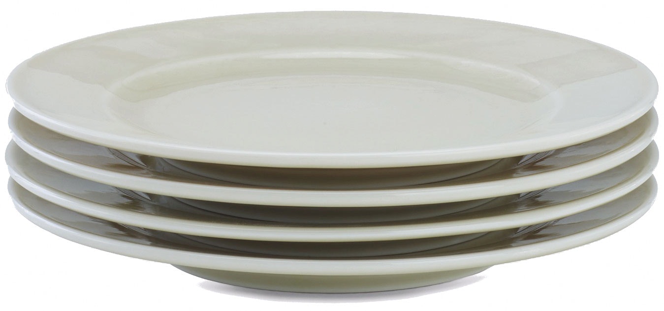 Rainbow Plate Small - Set of 4