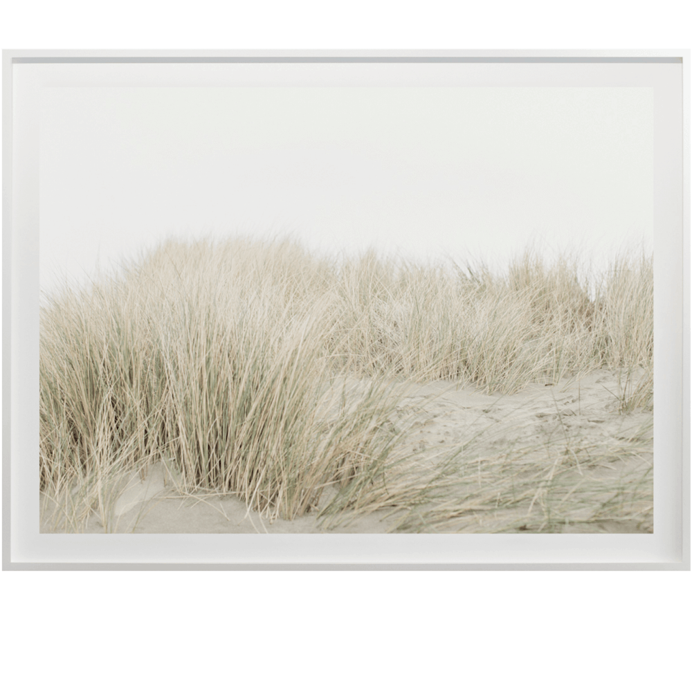 Cas Friese Dunes no.7100