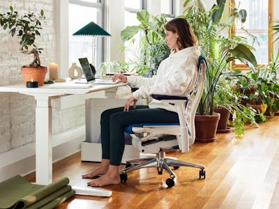  Renew Sit-To-Stand Desk