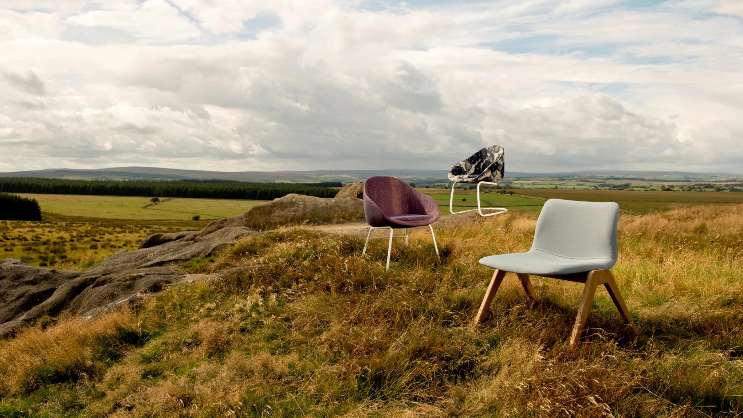 A purple and a grey lounge chair sit in a grassy field with a blue sky and clouds in the background.