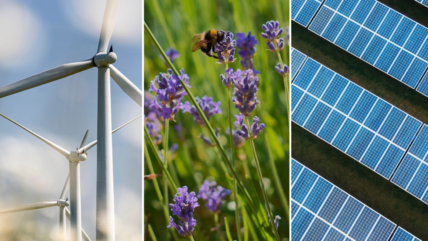 Reducing Carbon Footprint MillerKnoll