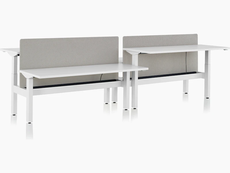 Standing desk system, Nevi Link, with white rectangular work surfaces and gray privacy screens. Two of the four desks are raised at standing height.