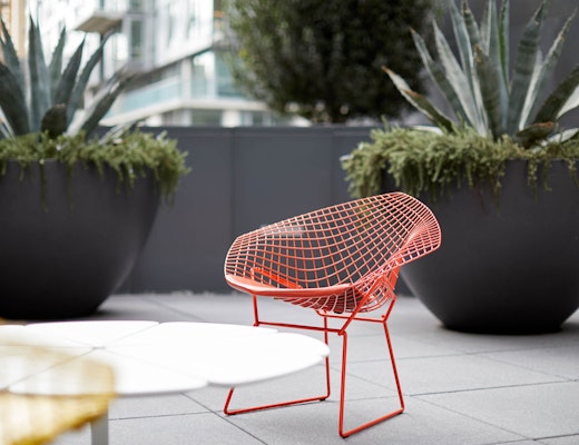 Outdoor Bertoia Diamond Chair and Schultz Petal Coffee Table Bertoia Diamond Chair Richard Schultz Petal Coffee Table outdoor community shared spaces