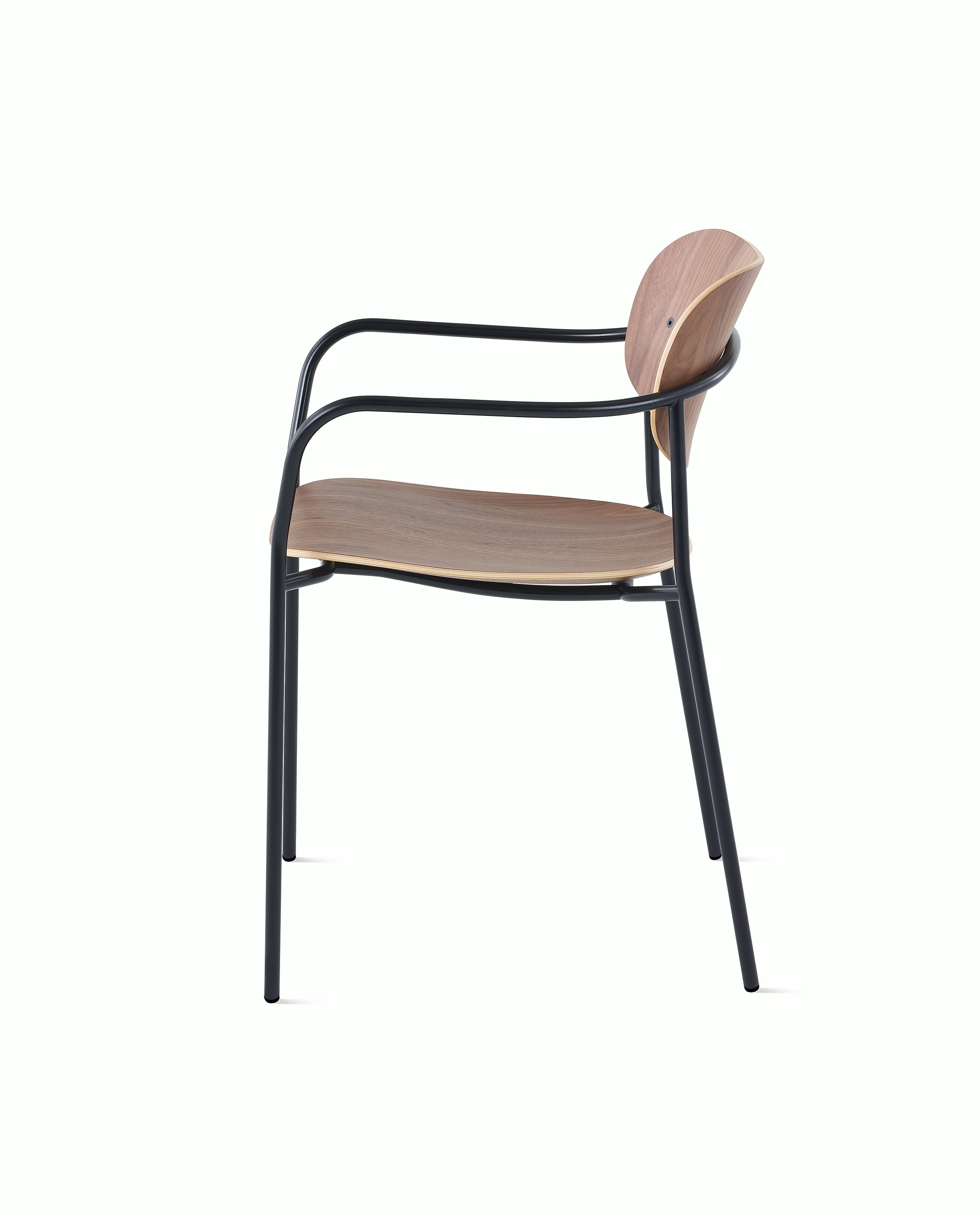 Portrait Chair with Walnut seat and back, and black frame with arms.