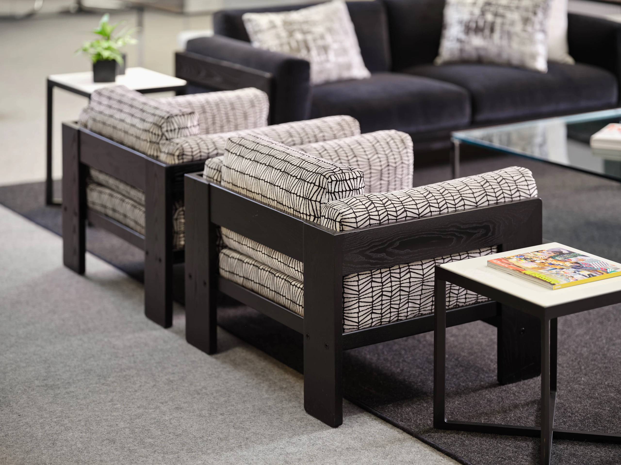 Bastiano Lounge Collection