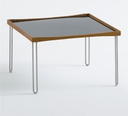 Tray Table with Reversible Tabletop