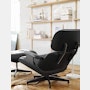 Eames Lounge Chair and Ottoman