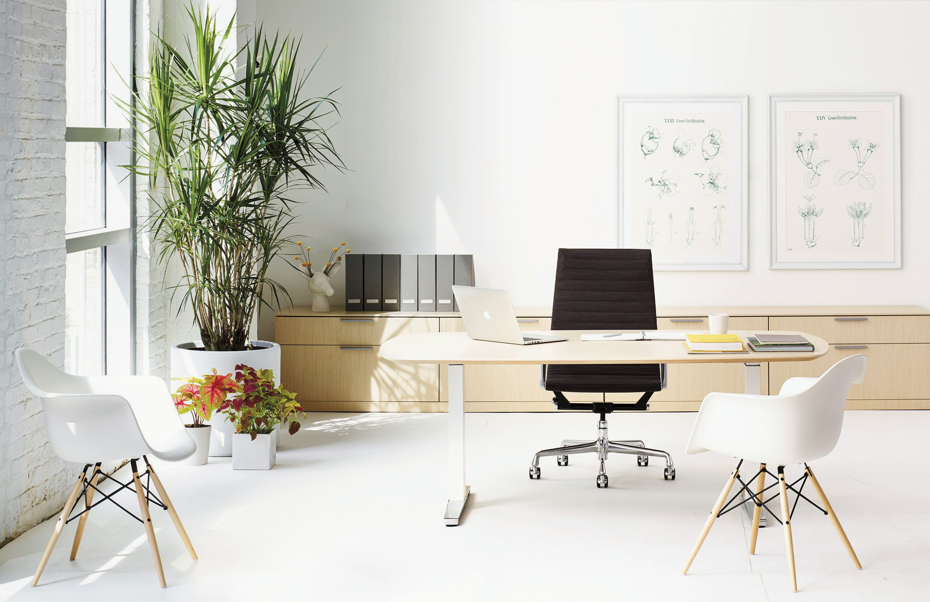 Renew Executive Sit-to-Stand Desk