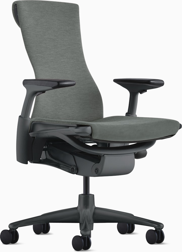 Embody Chair