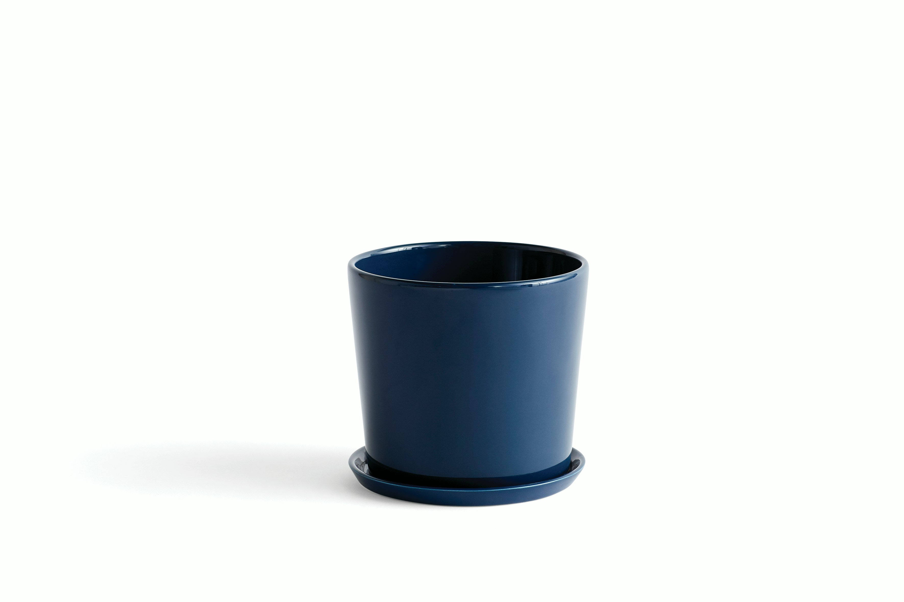 Botanical Family Set