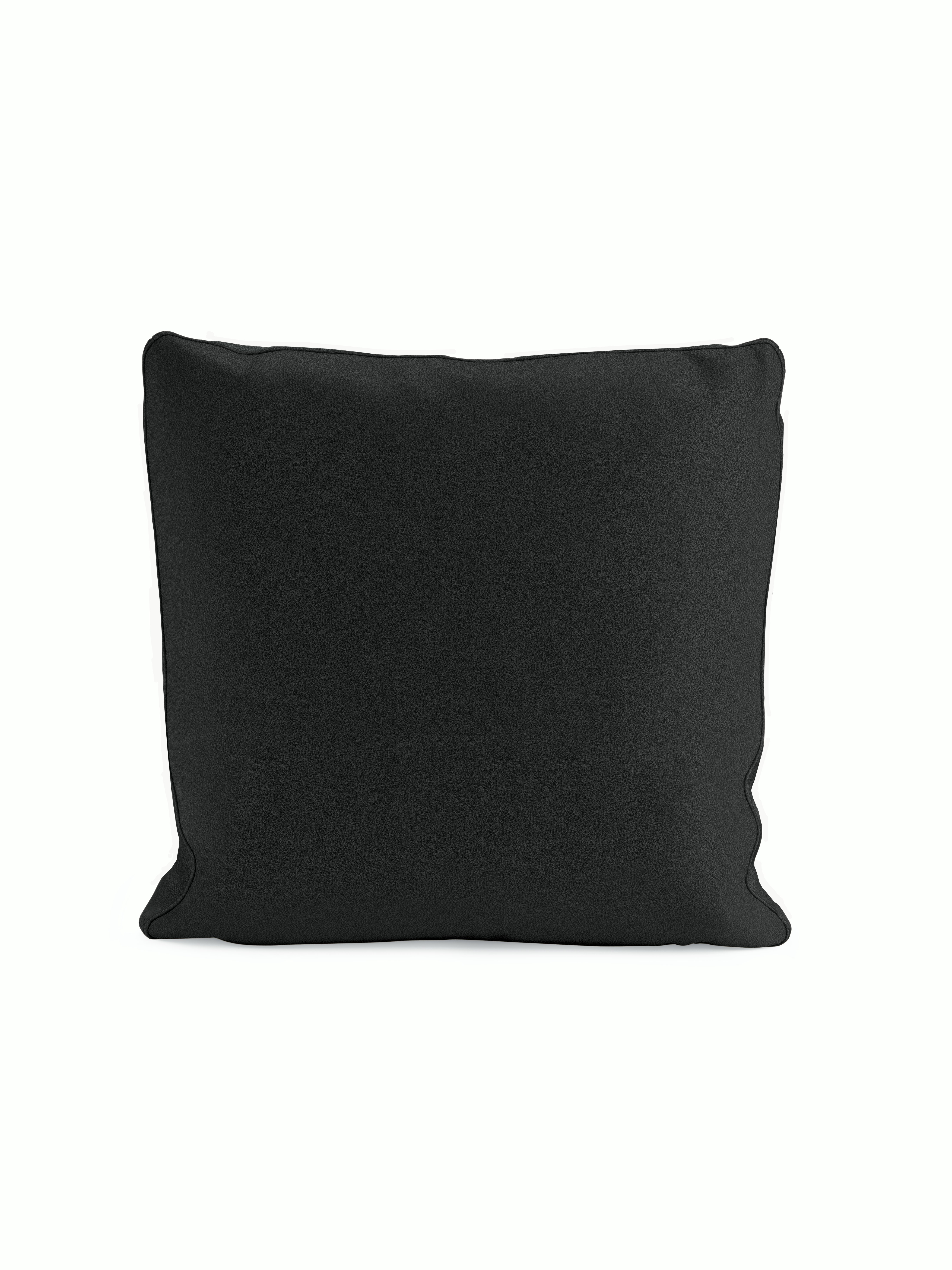 Reid Throw Pillow