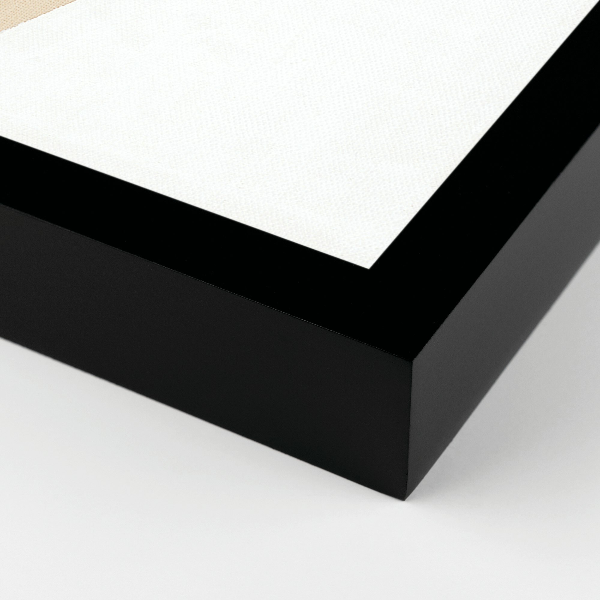 Small White Ray I by Aschely Vaughan Cone