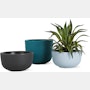 Cup Planter