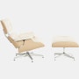 Eames Lounge Chair & Ottoman