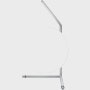 IC Table Lamp