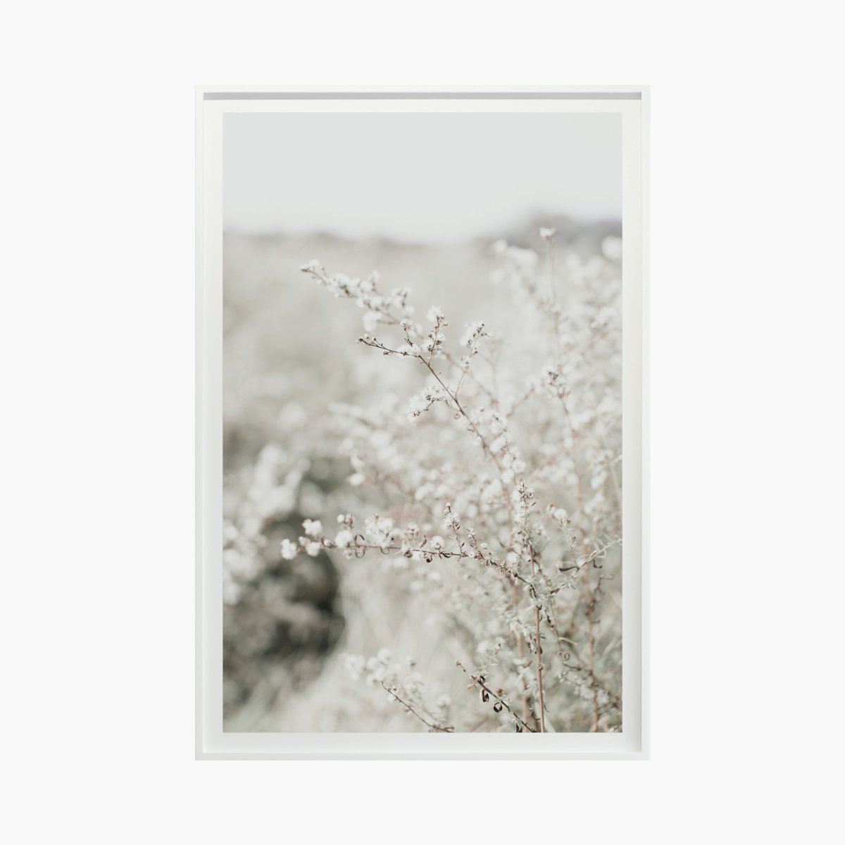 “Fields + Flora No. 5664” by Cas Friese