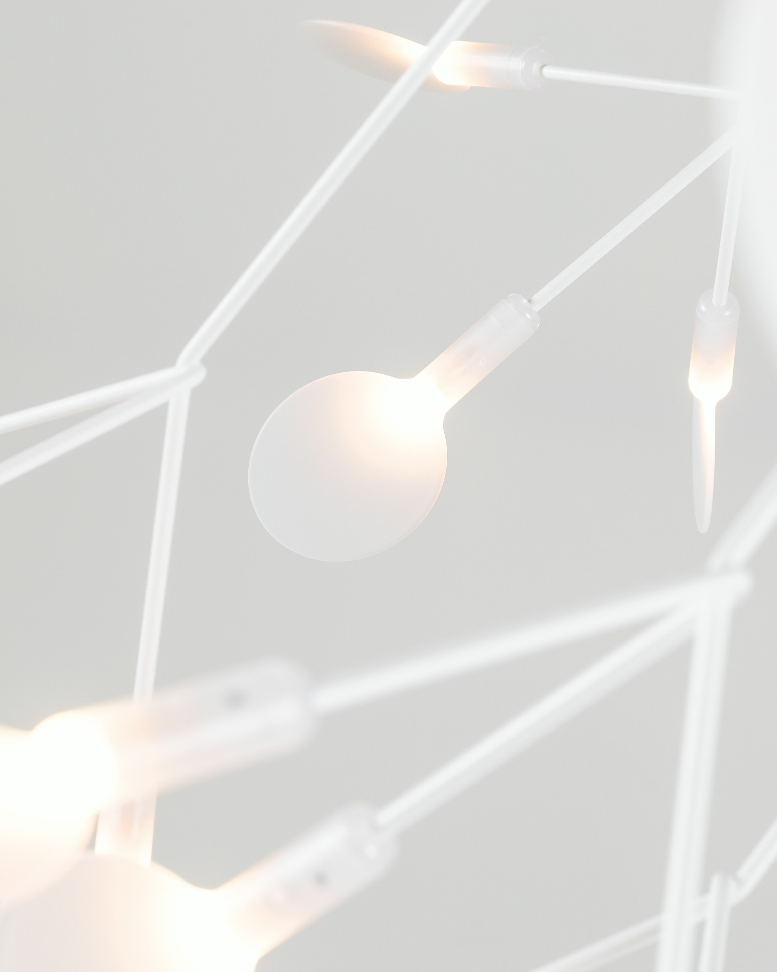 Heracleum III Endless Pendant